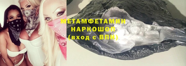 прущие грибы Аркадак