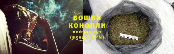 трава Арсеньев
