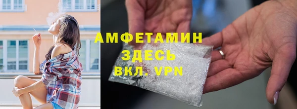 прущие грибы Аркадак