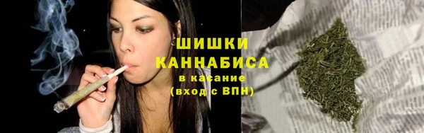 прущие грибы Аркадак