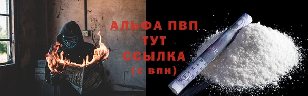 прущие грибы Аркадак