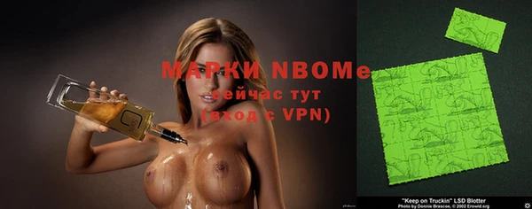 прущие грибы Аркадак