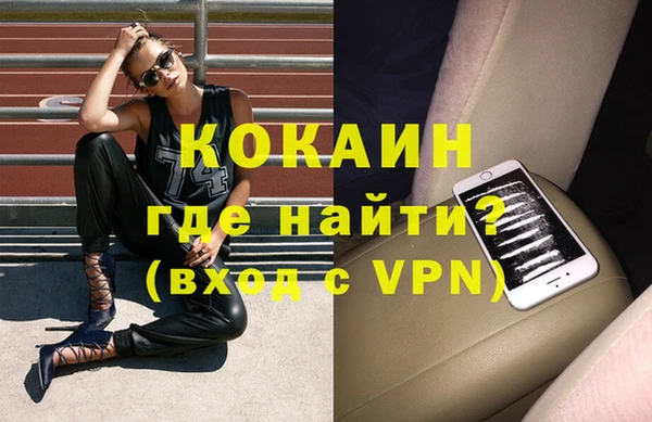 прущие грибы Аркадак