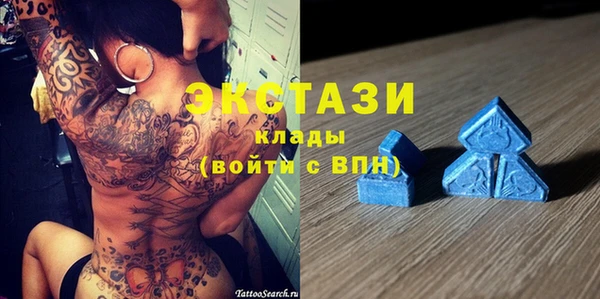 прущие грибы Аркадак