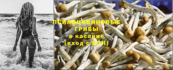 трава Арсеньев