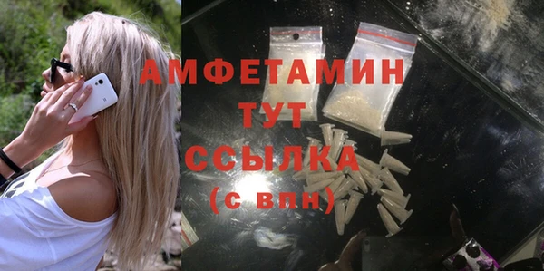 прущие грибы Аркадак