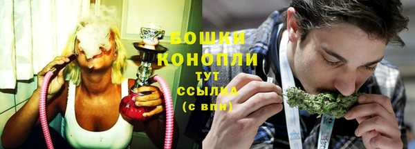 прущие грибы Аркадак