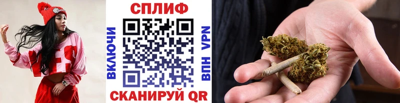 Конопля планчик  Теберда 